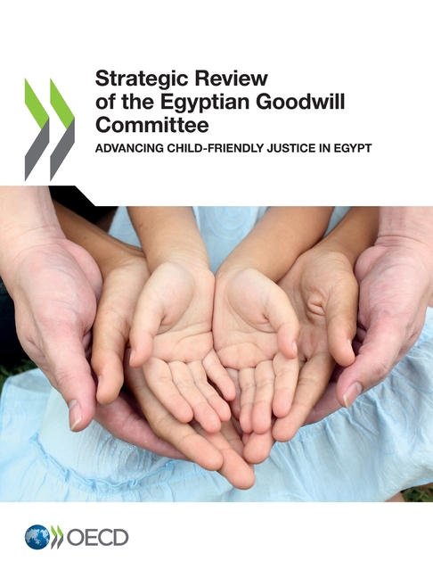 Strategic Review of the Egyptian Goodwill Committee, (Paperback)
