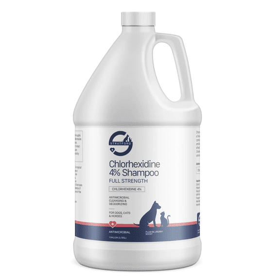 Stratford Chlorhexidine 4% Shampoo for Dogs, Cats and Horses, Plum Blueberry Scent, 1 Gallon