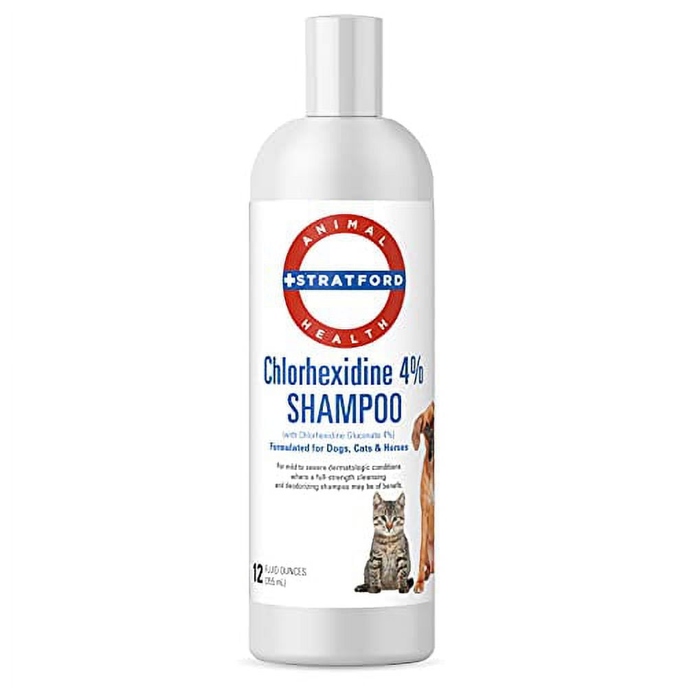 Stratford Pharmaceuticals Chlorhexidine Shampoo for Dogs and Cats 4