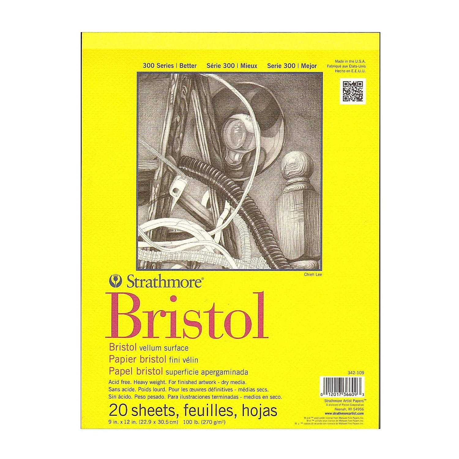 Strathmore 300 Series Bristol Vellum 9 In. X 12 In. [Pack Of 2] (2PK-342-109-1)