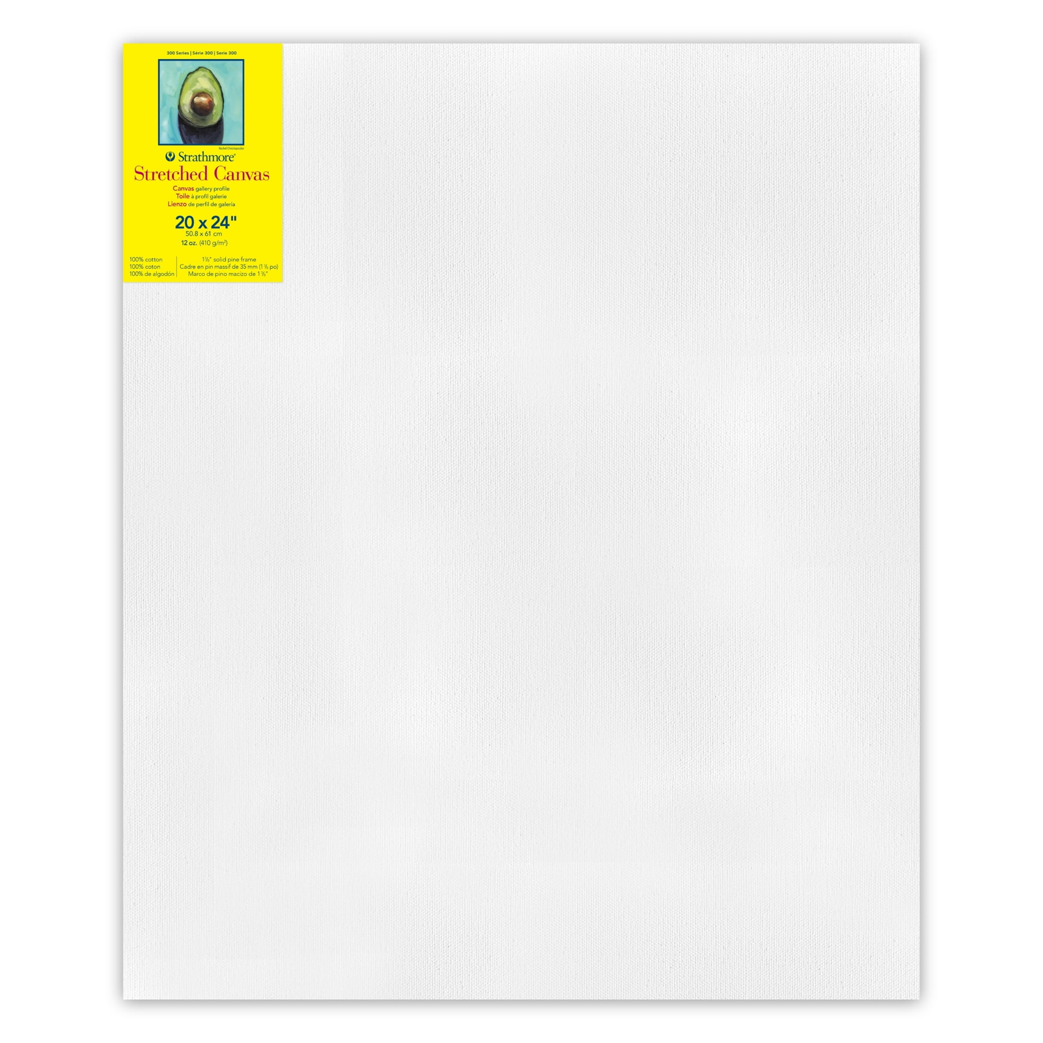 Strathmore 300 Series Gallery Stretched Canvas, 20x24 inch