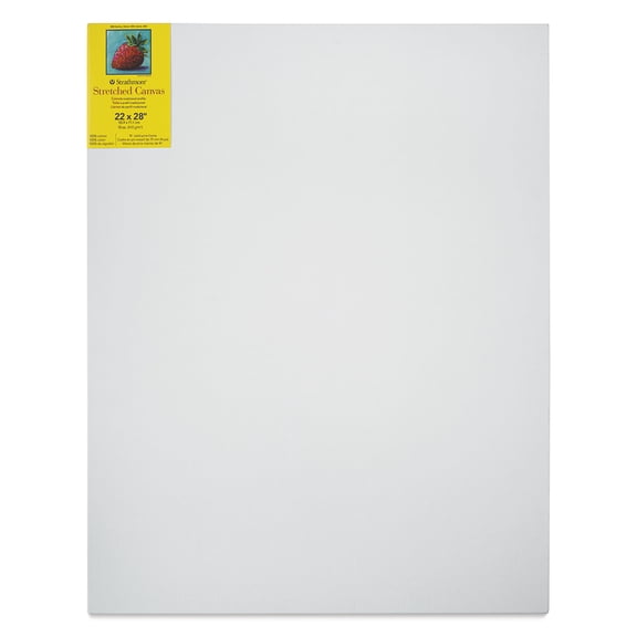 Strathmore 300 Series Traditional Stretched Canvas, 22x28 inch, 1 Count