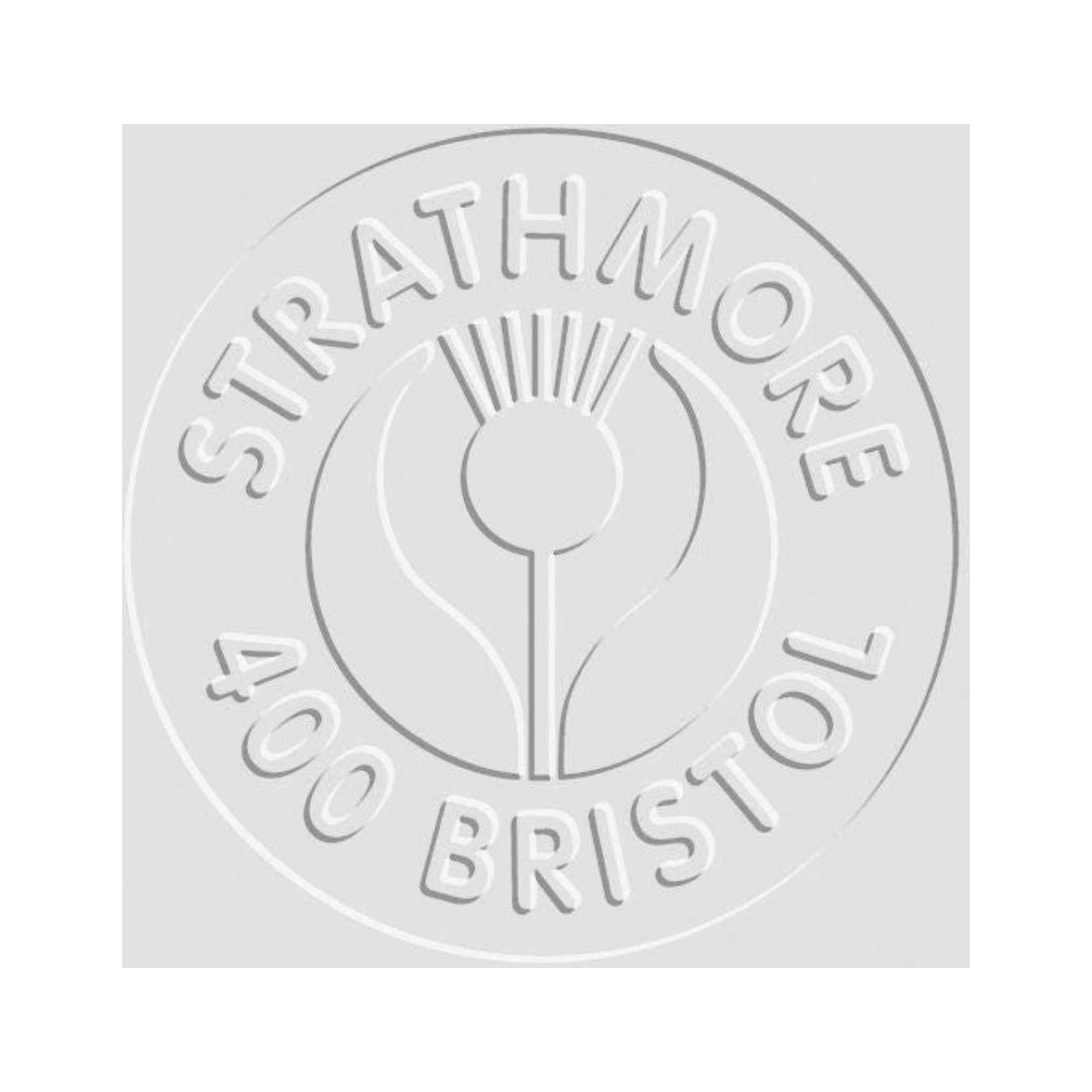 Strathmore 400 Series Vellum Surface Bristol Sheet, 22 x 30 Inches