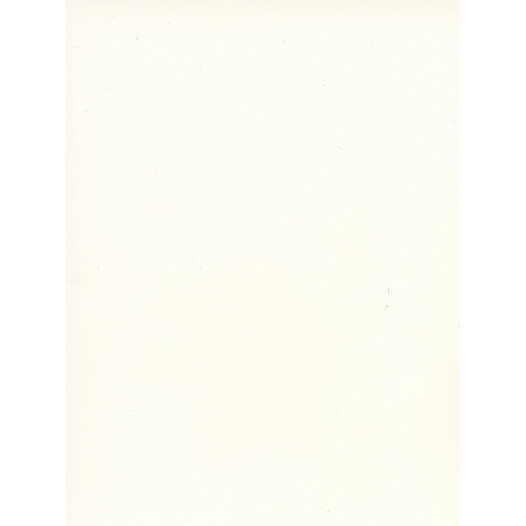 Strathmore 500 Series Bristol Vellum 3 Ply 23 In. X 29 In. Sheet (235-063) 66195