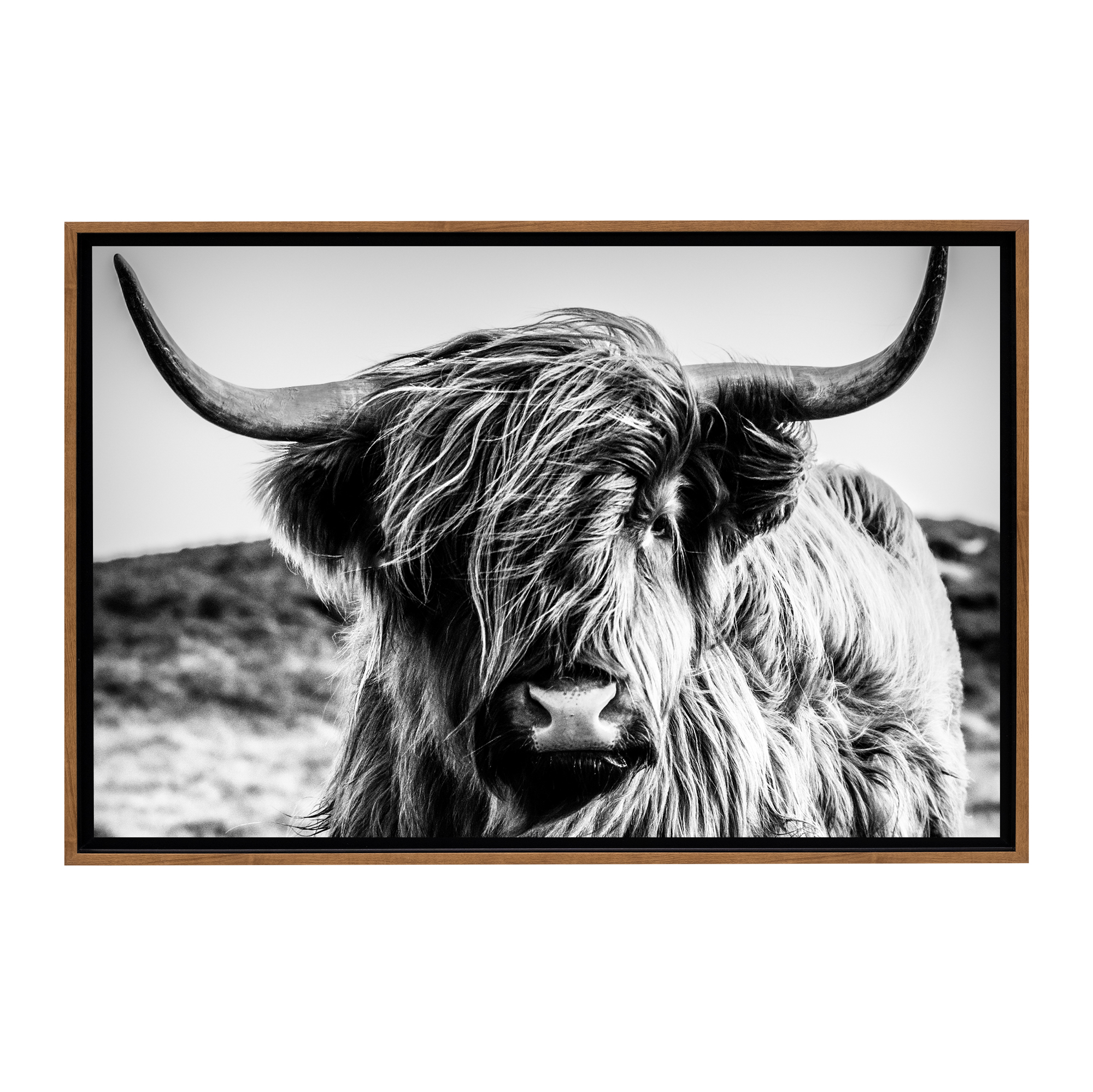 Stratton Home Decor Black and White Highland Cow Framed Canvas Wall Art