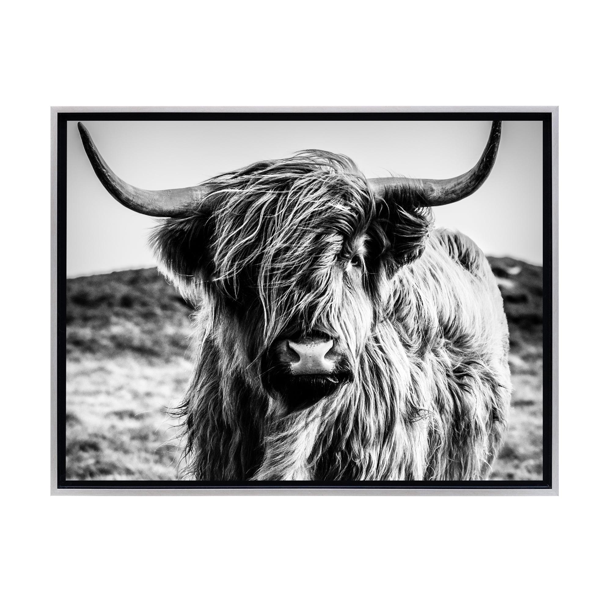 Stratton Home Decor Black and White Highland Cow Framed Canvas Wall Art