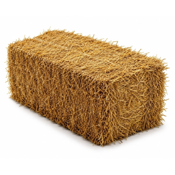 Straw Bale 37lb Large 16"x20"x16"