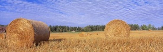 Straw Rolls Sweden Canvas Art - Panoramic Images (36 x 12)