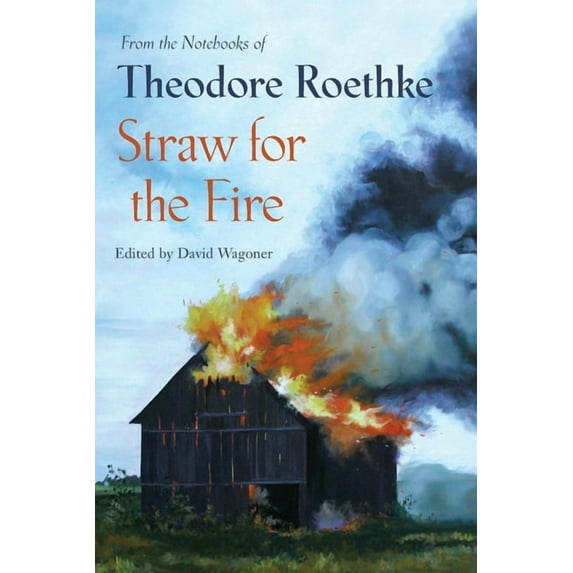 Straw for the Fire: From the Notebooks of Theodore Roethke 1943-63, (Paperback)