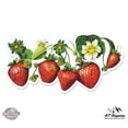 thumbnail image 1 of Strawberries - 3" Vinyl Sticker - For Car Laptop I-Pad Phone Helmet Hard Hat - Waterproof Decal, 1 of 2