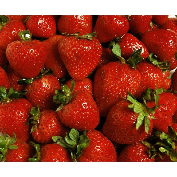 Strawberries Canvas Art - David Chapman Design Pics (32 x 26)
