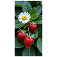 thumbnail image 1 of Strawberry Daisy Themed Background Banner Party Decorations Backdrop for Picnics Outdoor Gatherings Photo Shoots Celebrations, 1 of 8