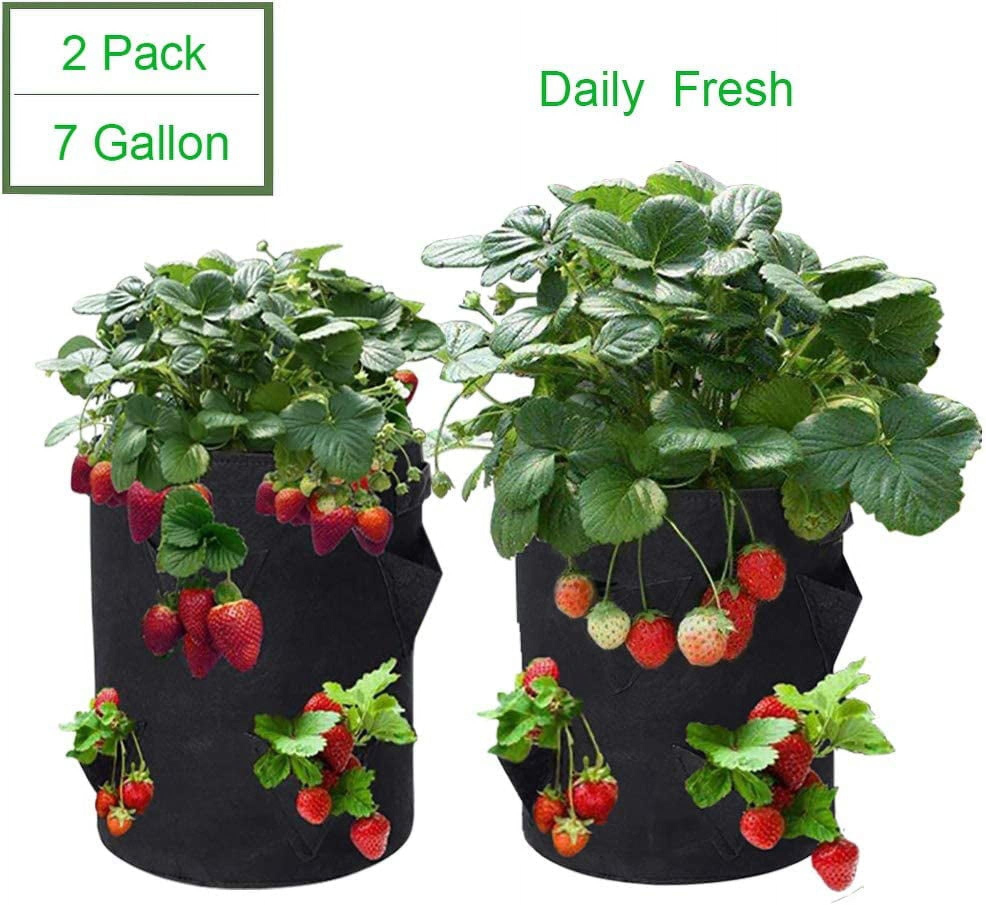 artificial plants hanging baskets Nearly Natural 10 in. UV Resistant Artificial Boston Fern in Hanging Wicker Basket - Indoor & Outdoor