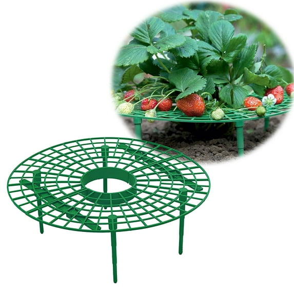 Strawberry Growing Stands 5-Pack - Elevated Cradles to Prevent Rot & Pests - Durable Strawberry Supports Keep Fruit Off Ground for Healthier Harvest