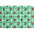 thumbnail image 1 of Strawberry Indoor Doormat Absorbent Floor Mats, Green White Checker Plaid Love Heart Doormat Non-Slip Entrance Front Door Rug Kitchen Bathroom Entryway Rugs 16x24 Inch, 1 of 4