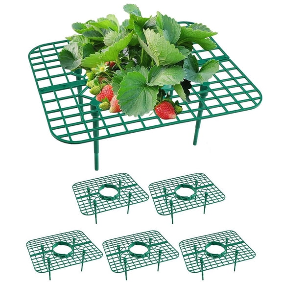 Strawberry Plant Support Cages with Stakes, Adjustable Plastic Growing Racks to Keep Fruit Off the Ground, Reusable Garden Plant Stand for Strawberries, Tomatoes and Melons (5 Pack)