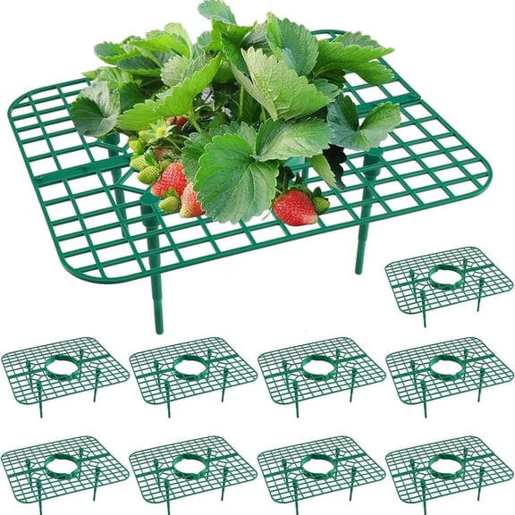 Strawberry Plant Supports, 10 Pack Square Frames Keep Strawberries Off Ground, Reusable Strawberry Plant Stands for Cleaner Strawberries & Easy Harvest