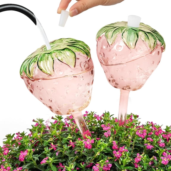 Strawberry Plant Watering Globes Set of 2, Lar Water Bulbs for Indoor Plants, Glass Self Planter Insert, Top-Fill Outdoor Plants