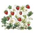 thumbnail image 1 of Strawberry Plants Wall Stickers Kitchen Dining Room Decor Removable Decals Vinyl Peel and Stick 14.5x17.3inch, 1 of 6