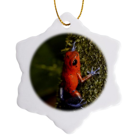 3drose, Strawberry Poison-dart Frog, La Selva, Costa Rica - Sa22 Mpr0048 - Maresa Pryor, 3 inch Snowflake Porcelain Ornament
