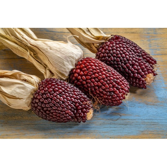 Strawberry Popcorn Seeds