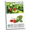 Strawberry Seeds, Woodland Wild Strawberry Fruit/Plant Seeds, 150