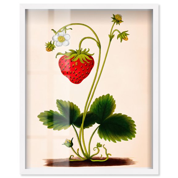 Strawberry Shadowbox Print Kitchen Wall Art by Art Remedy, White Frame, 20 x 24