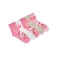 thumbnail image 1 of Strawberry Shortcake Women's Holiday Capri Socks, 5-Pack, Size 4-10, 1 of 8