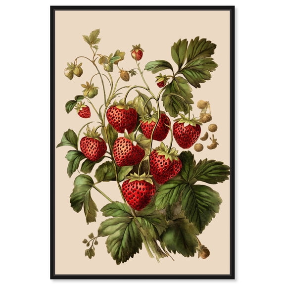 Strawberry Softness I Canvas Vintage Prints by Art Remedy, Black Frame, 36" x 54"