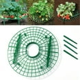 Strawberry Stand 10 Pack Strawberry Plant Support Keep Your