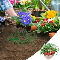 Strawberry Supports - Strawberry Plant Support Stand Strawberry Growing Racks Protector Strawberry Growing Frame Holder Cage