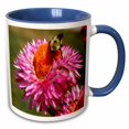thumbnail image 1 of 3drose, Strawflower Diner - Photography Flowers, 11oz Two-tone Blue Mug, 1 of 6