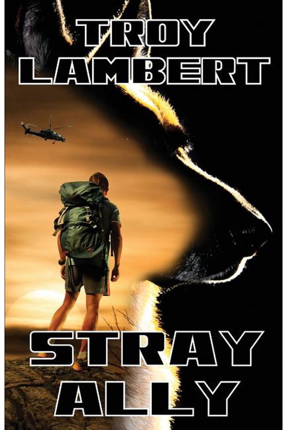 Stray Ally (Paperback)