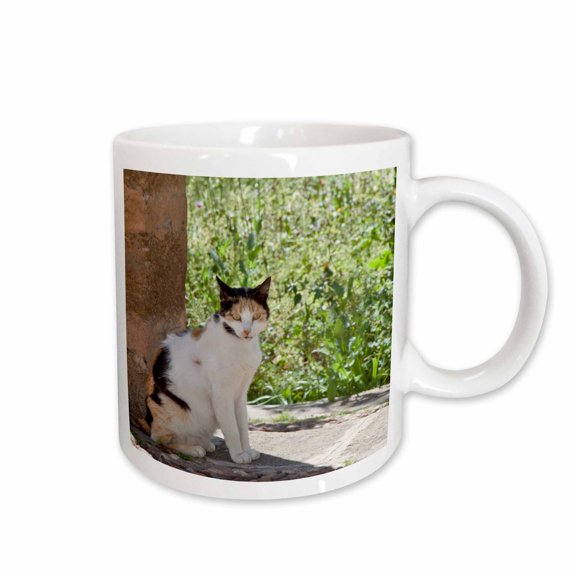 3drose, Stray Cat in Fes Medina, Morocco-af29 Wsu0210 - William Sutton, 11oz Mug