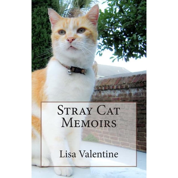 Stray Cat Memoirs