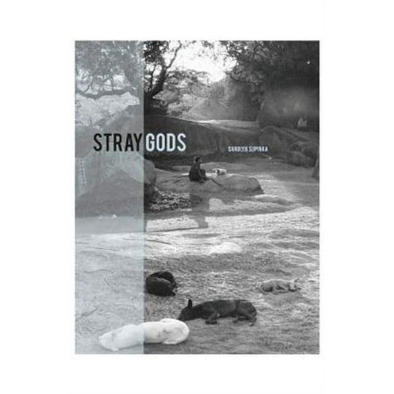Stray Gods