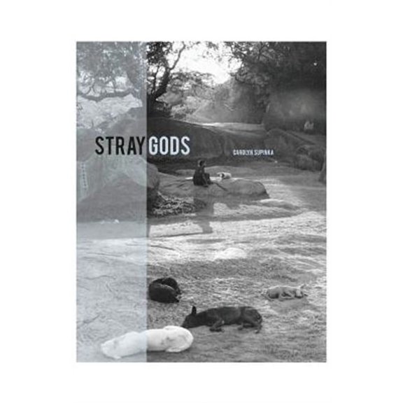 Stray Gods