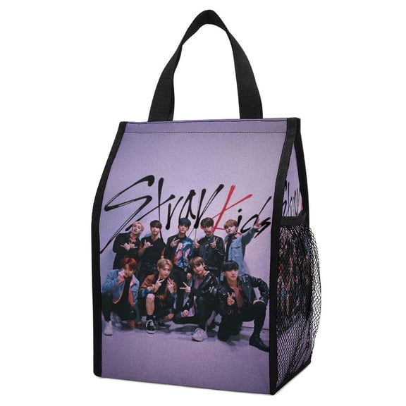 Stray Ki-ds Lunch Bag, Insulated Lunch Box Large Capacity Reusable Insulated Cooler Lunch Totes Bag for Work Office Camping Travel Picnic