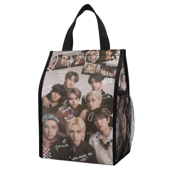 Stray Ki-ds Lunch Bag, Insulated Lunch Box Large Capacity Reusable Insulated Cooler Lunch Totes Bag for Work Office Camping Travel Picnic