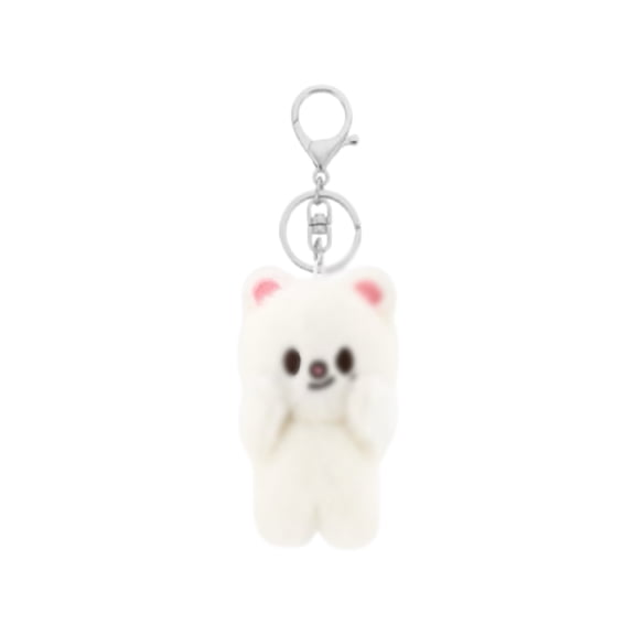 Stray Kids 3.9 Inchs Plush Keychain, SKZ Pilot Cloak Plush Bag Pendant, Cute SKZOO Character Key Ring Decorative Gift for STRAY Fans