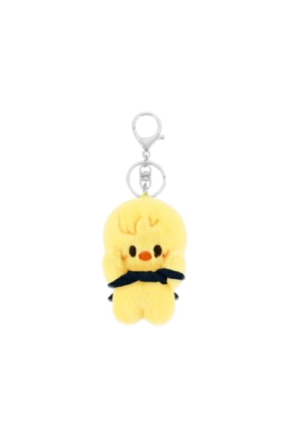 Stray Kids 3.9 Inchs Plush Keychain,SKZ Pilot Cloak Plush Keychain Bag Pendant,STRAY Fan Gifts