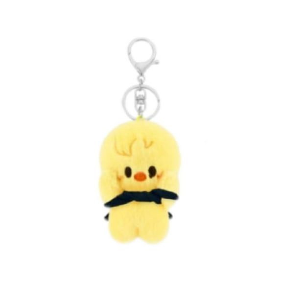 Stray Kids 3.9 Inchs Plush Keychain,SKZ Pilot Cloak Plush Keychain Bag Pendant,STRAY Fan Gifts