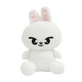 thumbnail image 1 of Stray Kids B Ang Chanlee Konw Changbin Hyun Jin Han Felix Seungmin Plush Toys without Labels for Bedroom Living Room Office, 1 of 6