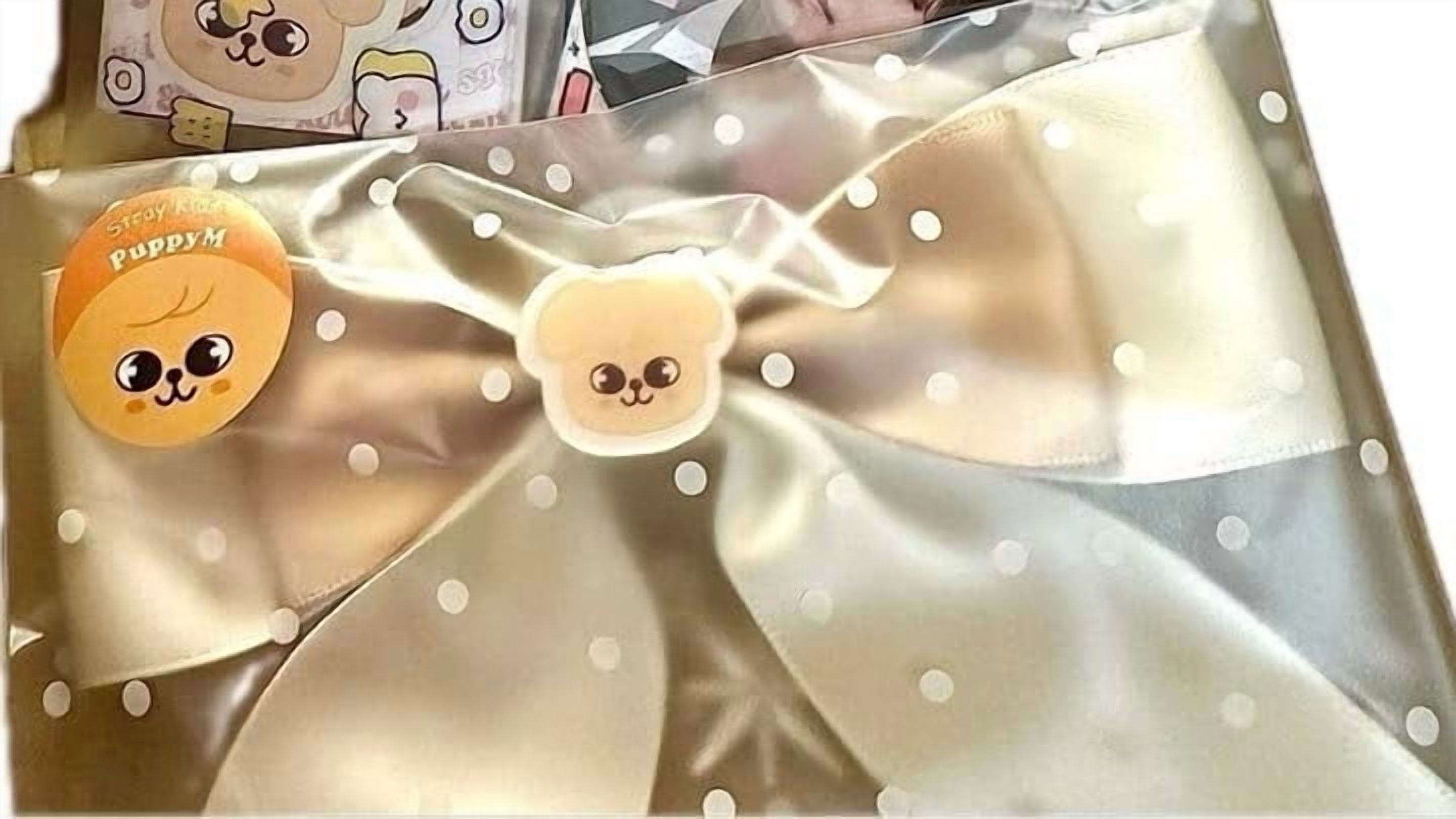 Stray Kids Lightstick Cover, SKZOO Light Stick Decoration