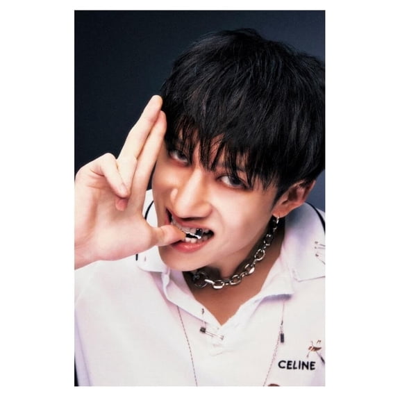 Stray Kids SKZ Bang Chan ROCKSTAR Album Concept Photo Music Poster Korean Idol Grunge Fashion Kpop Photocard Style Print Trendy Kpop Boy Band Wall Art Retro Rockstar Aesthetic