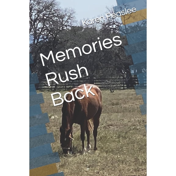 Stray Memories Memories Rush Back, (Paperback)