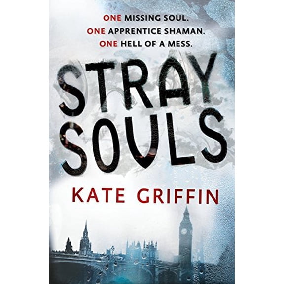 Pre-Owned Stray Souls (Paperback) 0316187267 9780316187268