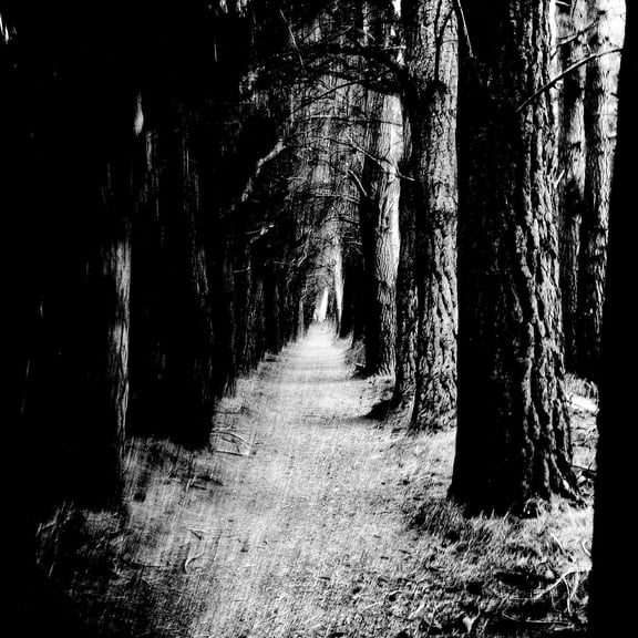 Stray Theories Falter (Vinyl Record) 12" Album (Clear vinyl) (Limited Edition)