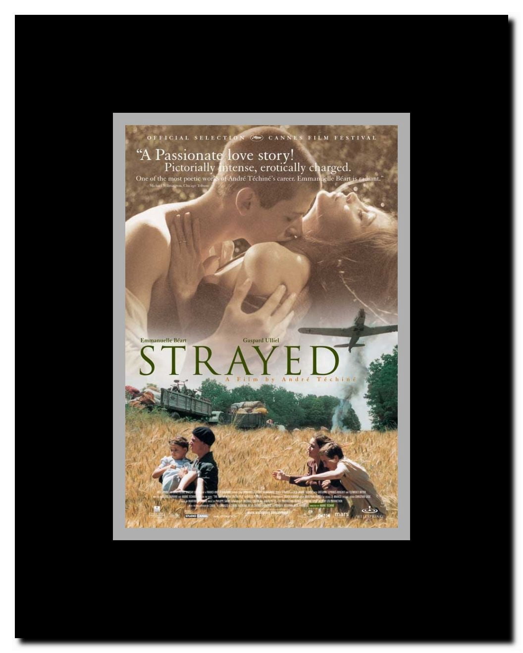 Strayed Framed Movie Poster