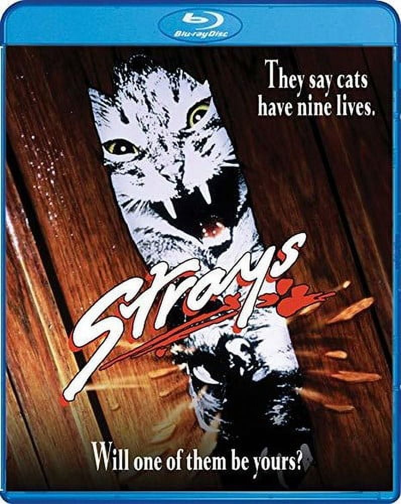 Strays Blu-ray Horror Movie with Ferocious Cats